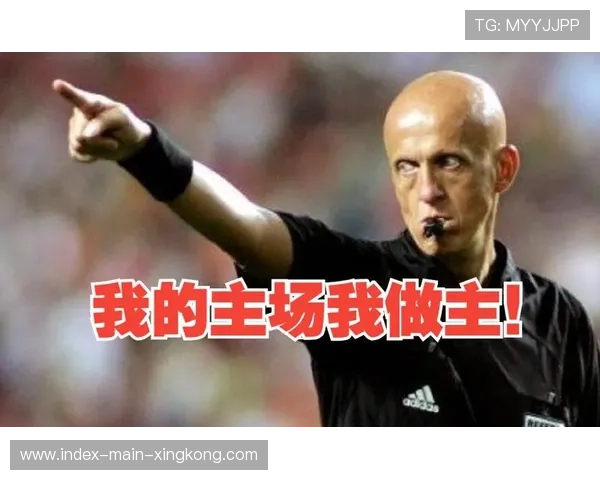 世界杯裁判承认自己被吓到了